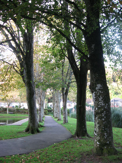 Tree-lined avenue in Bicclescombe Park
